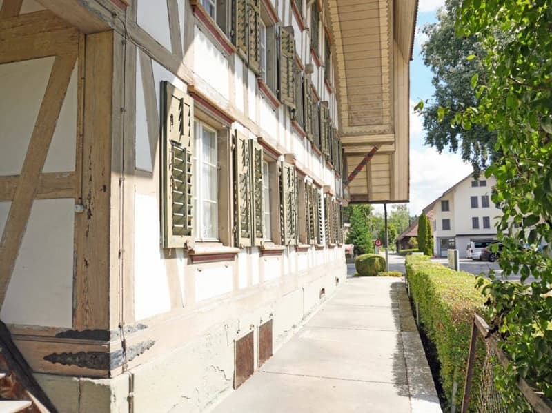 Historisches Juwel mit Entwicklungspotenzial (20)