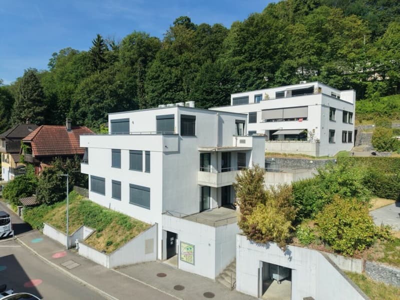 Exklusive Duplex Attikawohnung direkt an der Aare (13)