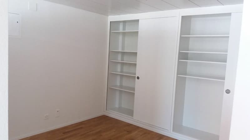 Im schönen und freundlichen Ort Diessbach bei Büren (nähe Lyss) haben wir ab sofort folgende Wohnung zu vermieten: 55m2 grosse Loftstil, 2.5 Zimmer Erdgeschosswohnung mit Garten (4)