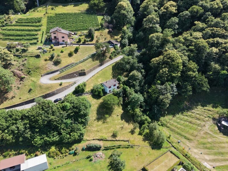 Tessiner Wohntraum im Grünen (15)
