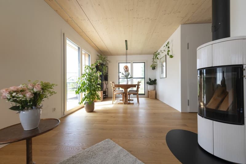 Modernes EFH mit vielseitigem Raumangebot (4)