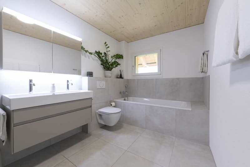 Modernes EFH mit vielseitigem Raumangebot (11)