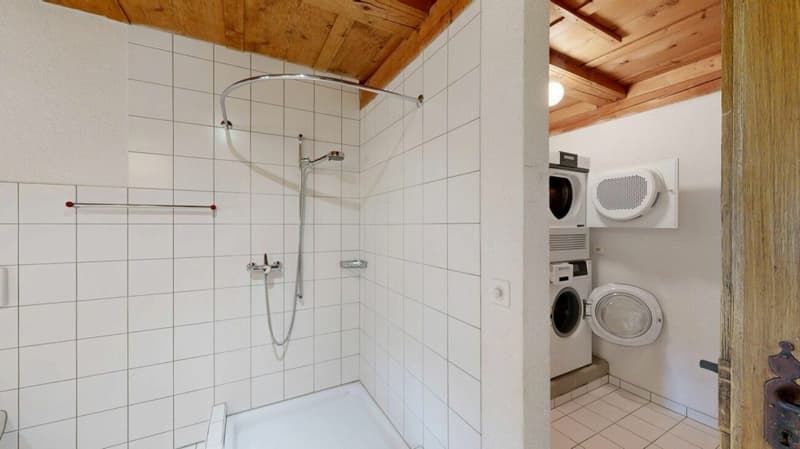 8½-Zimmer-Wohnung in Seeberg (12)