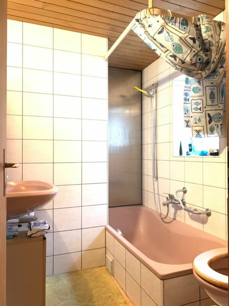 3.5 Zimmer Attika-Wohnung im "Mühlegässli" zu vermieten (6)