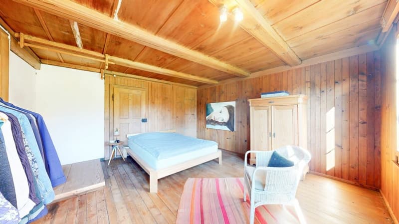 Bauernhaus mit grossem Umschwung (11)