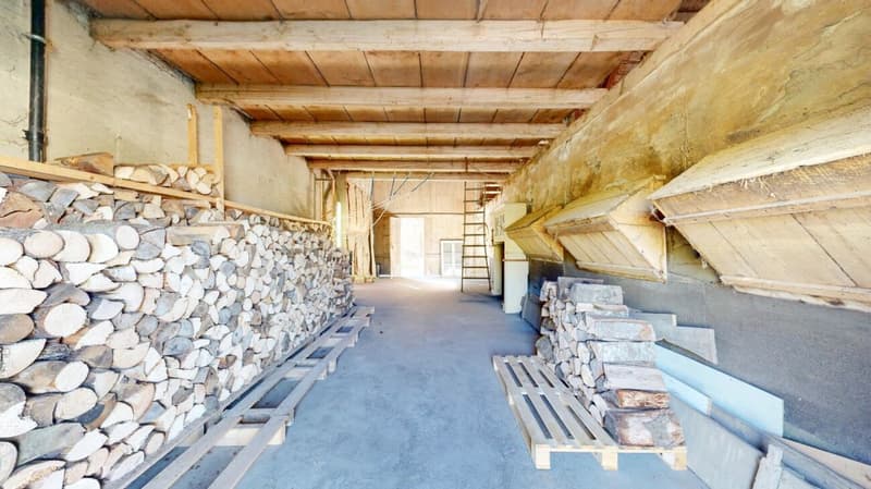 Bauernhaus mit grossem Umschwung (18)