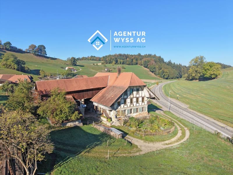 Bauernhaus mit grossem Umschwung (1)