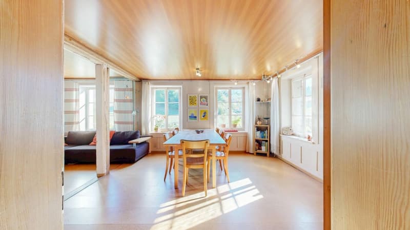 Bauernhaus mit grossem Umschwung (8)