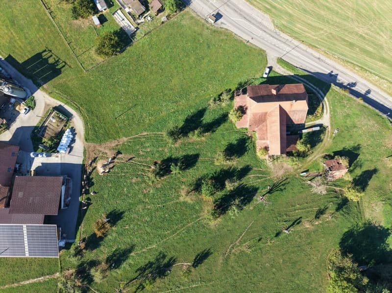 Bauernhaus mit grossem Umschwung (3)
