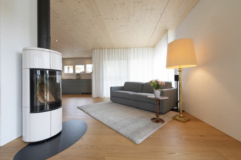 Modernes EFH mit vielseitigem Raumangebot (4)