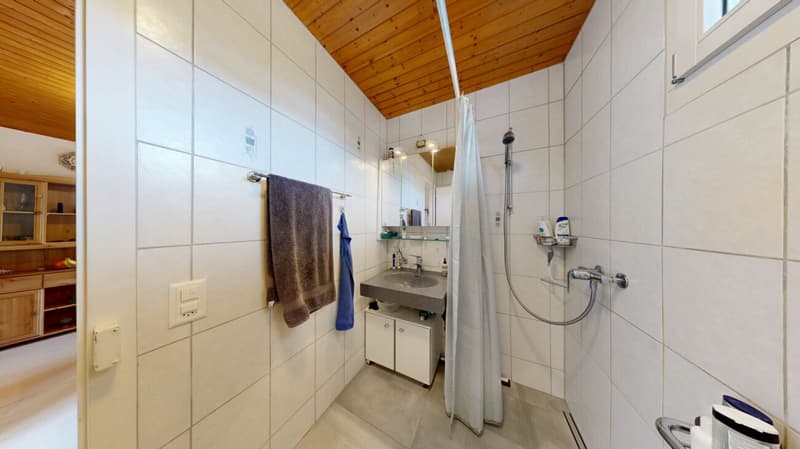 4.0 Zimmer Wohnung mit Ausblick auf die Schützenmatte (9)