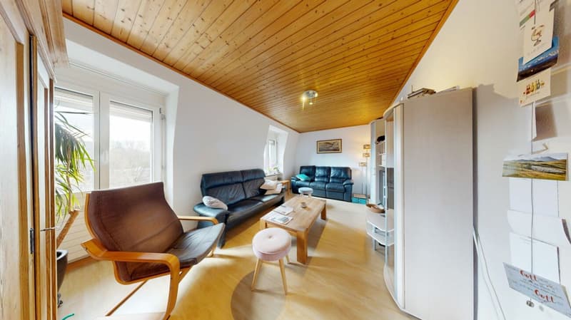 4.0 Zimmer Wohnung mit Ausblick auf die Schützenmatte (3)
