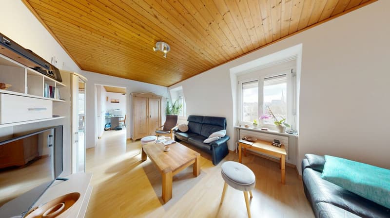 4.0 Zimmer Wohnung mit Ausblick auf die Schützenmatte (2)