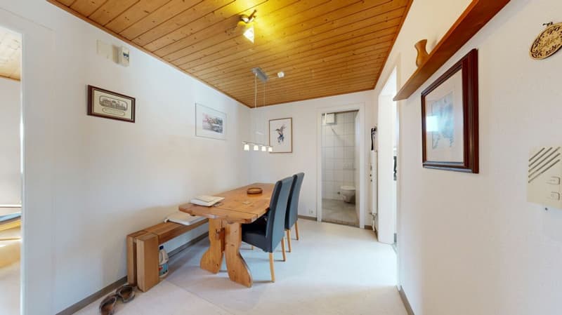 4.0 Zimmer Wohnung mit Ausblick auf die Schützenmatte (8)