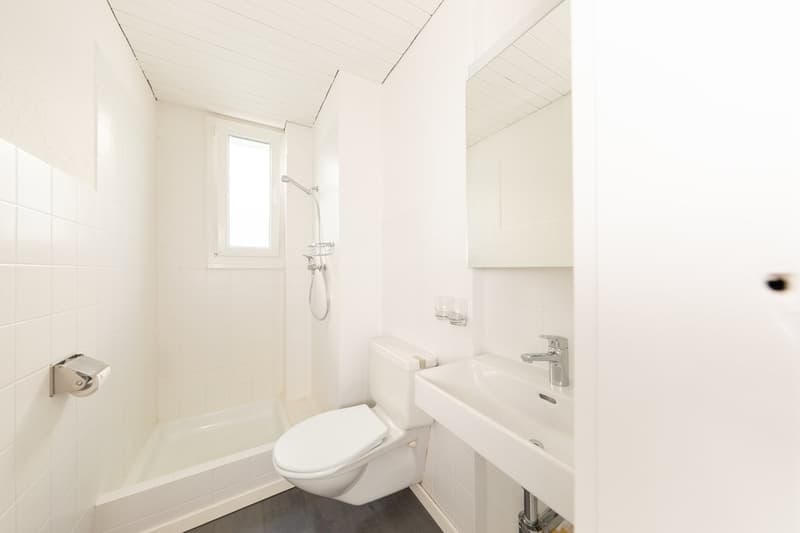 Nasszelle mit Dusche und Toilette
