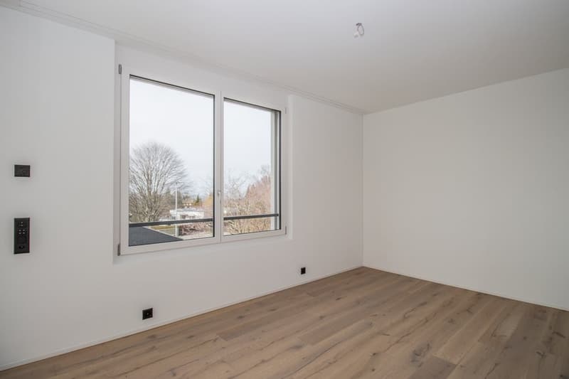 zimmer_2.5.jpg