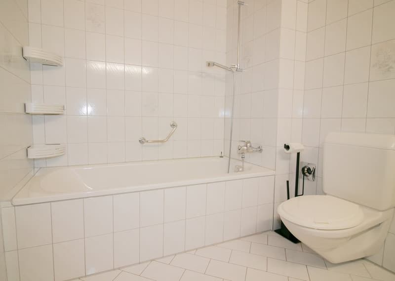WC-Bad