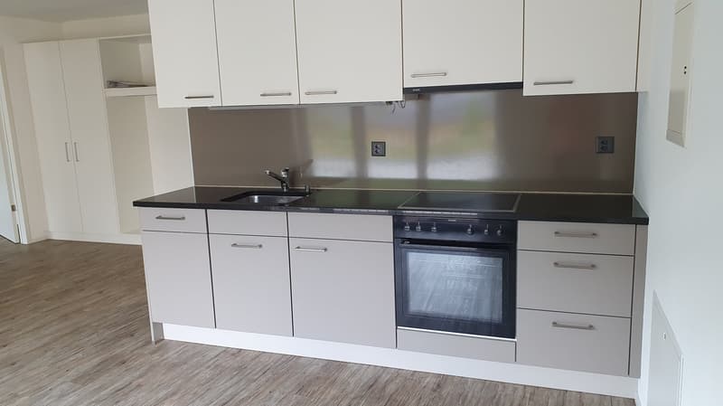 Modern kitchen with white cabinets, black countertop, built-in oven, and dishwasher