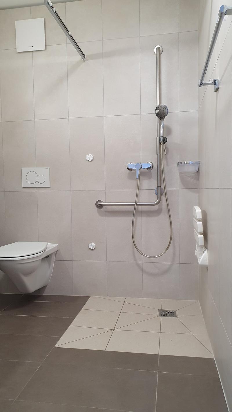 The image shows a modern bathroom with a shower area. The walls are tiled in a light gray color, and the floor has a geometric tile pattern. The shower features a handheld showerhead and a grab bar for accessibility. There is also a toilet and a towel rac