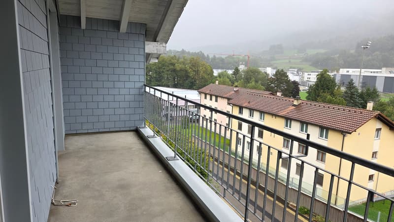 Appartement dans les combles avec accès direct depuis ascenseur. (21)
