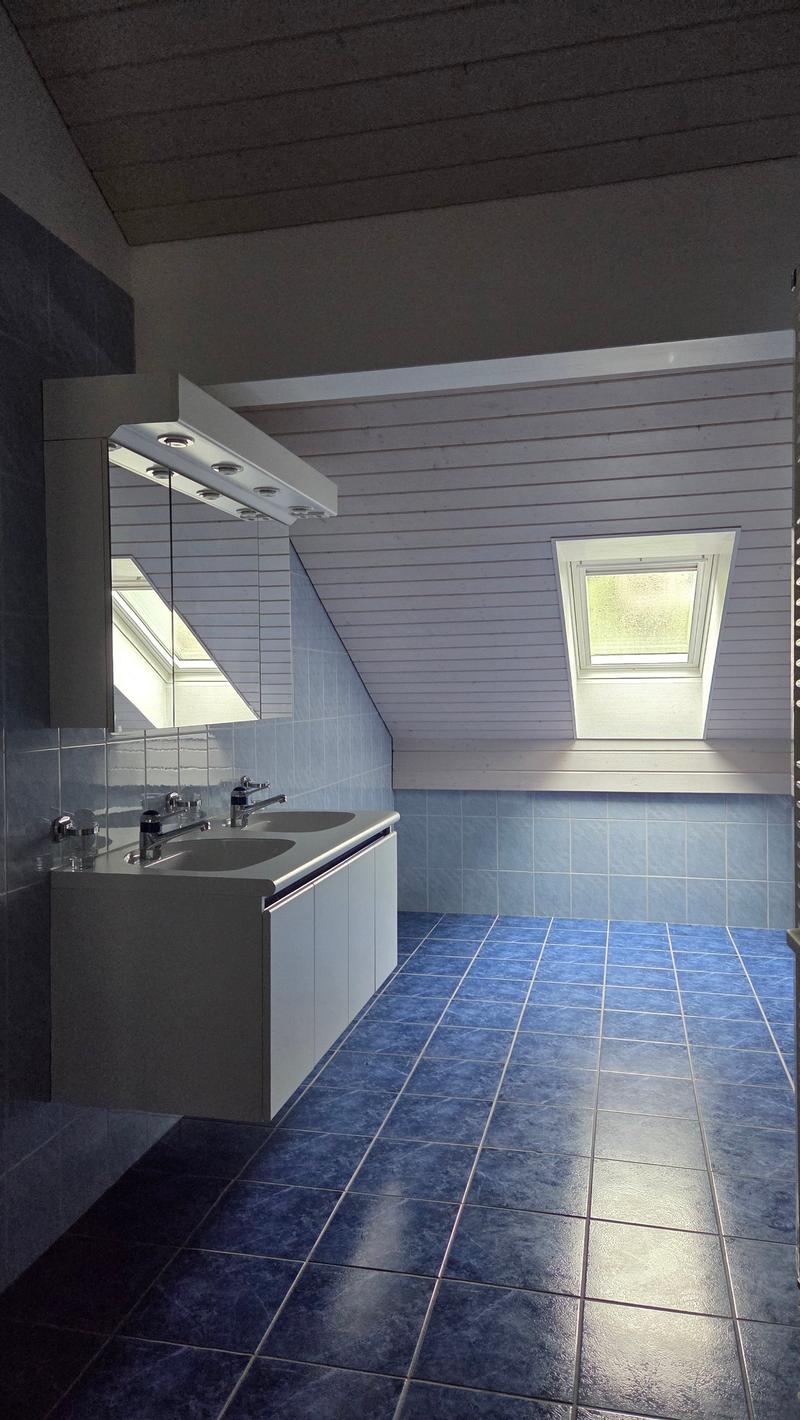 blue tiled floor, double sink with faucets, mirror, wall cabinets, skylight window