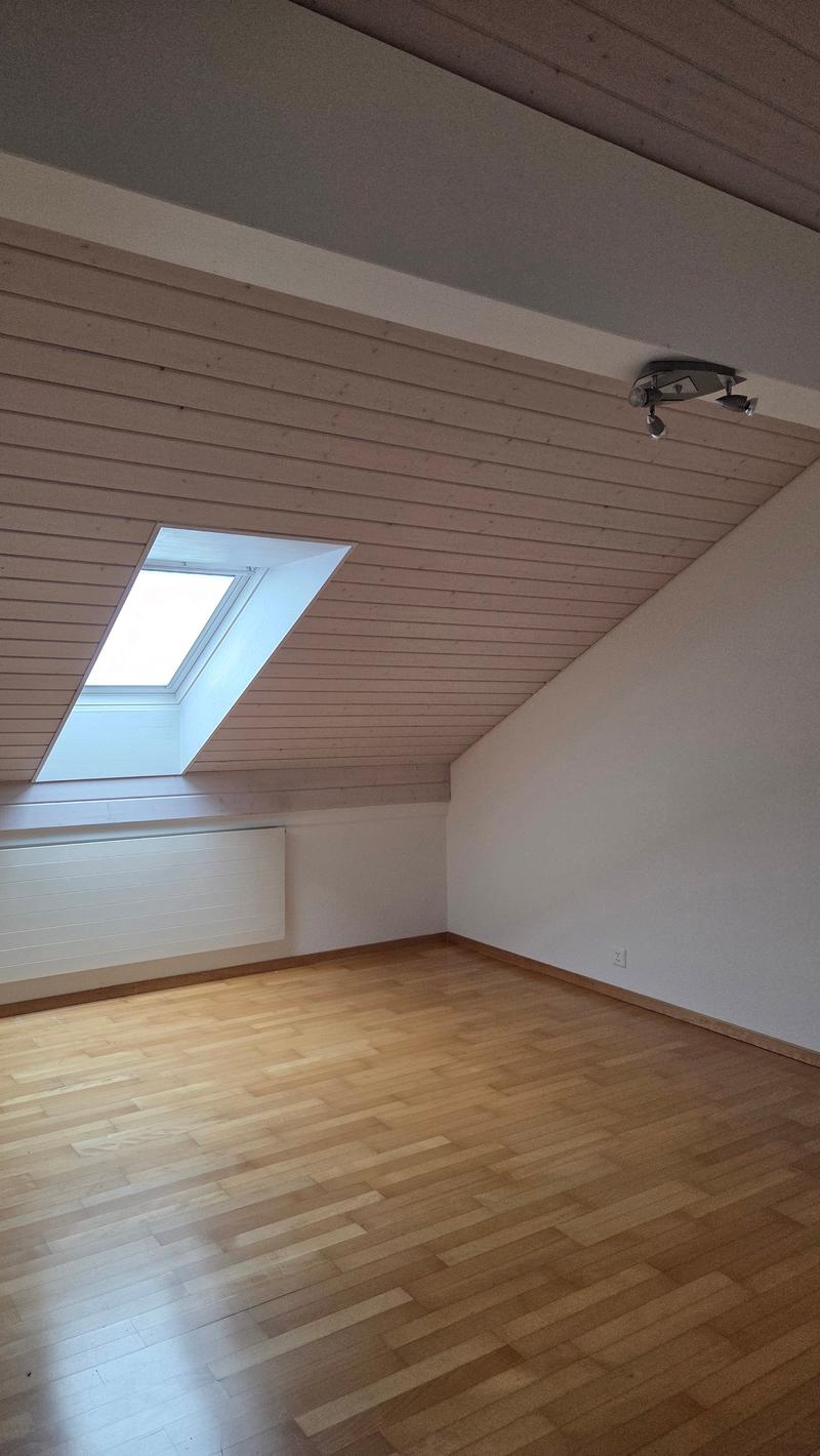 Appartement dans les combles avec accès direct depuis ascenseur. (16)