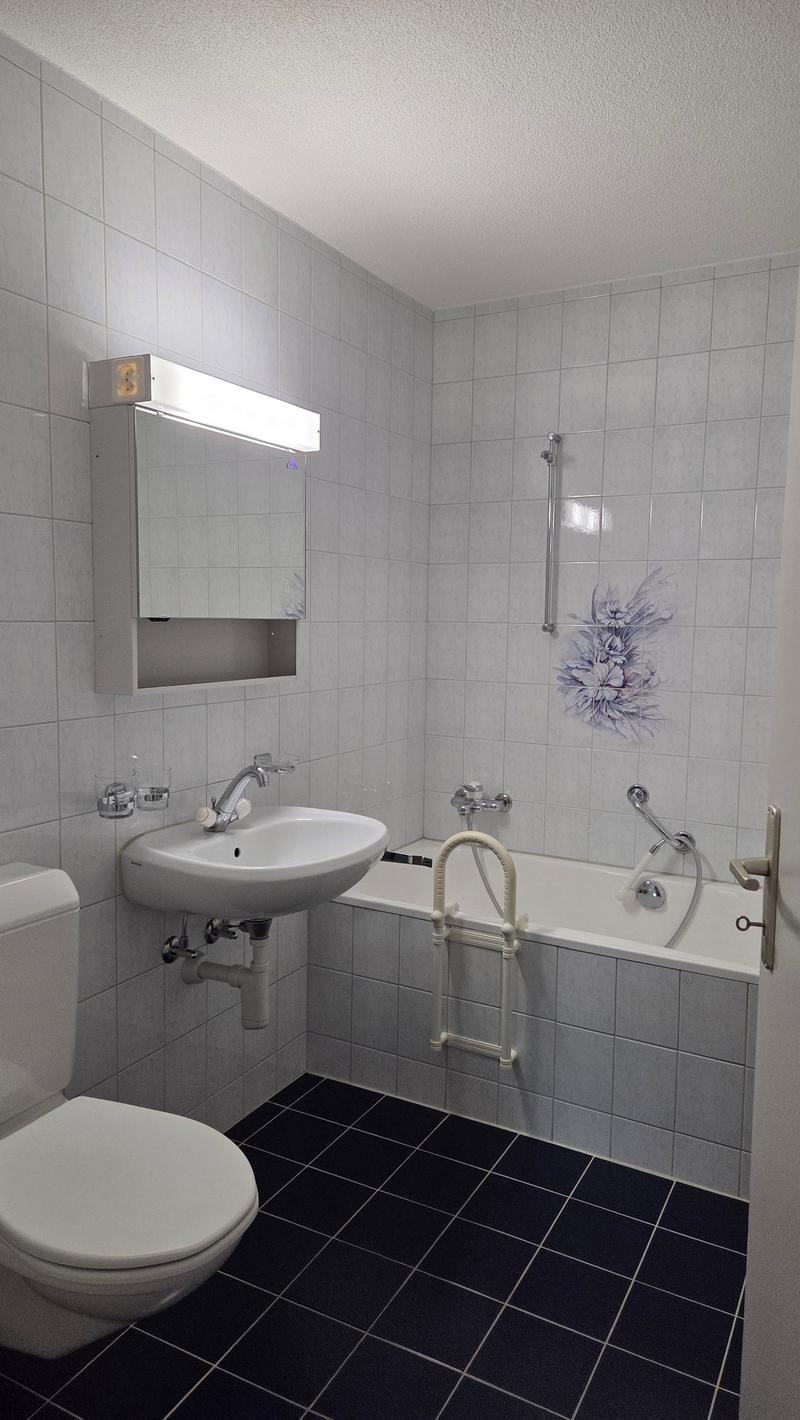 white sink, toilet, bathtub, mirror cabinet, glass holders, wall-mounted ladder