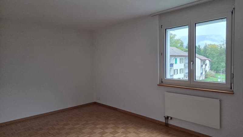 empty room, white walls, wooden floor, large window