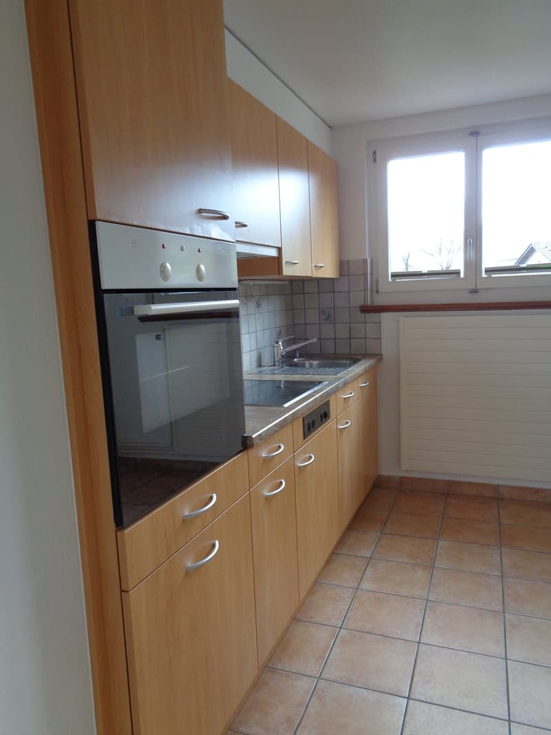 Integrated oven, dishwasher, double sinks, wooden cabinets, tile flooring, two windows