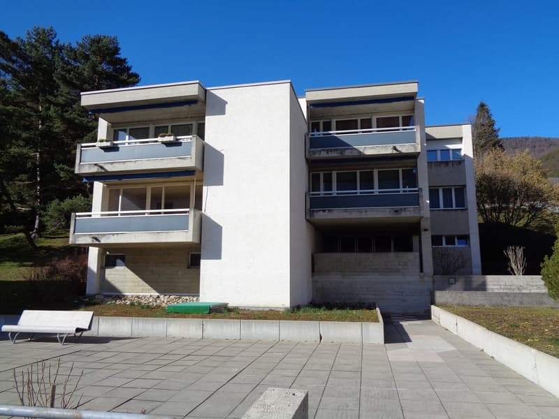Grand appartement de 3.5 pièces proche du centre-ville. (15)