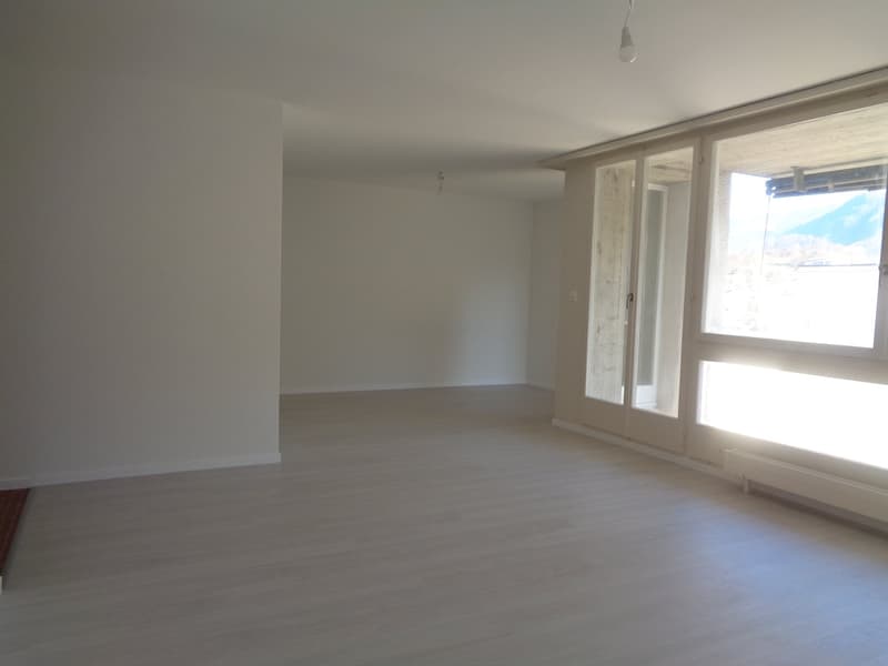 Grand appartement de 3.5 pièces proche du centre-ville. (4)