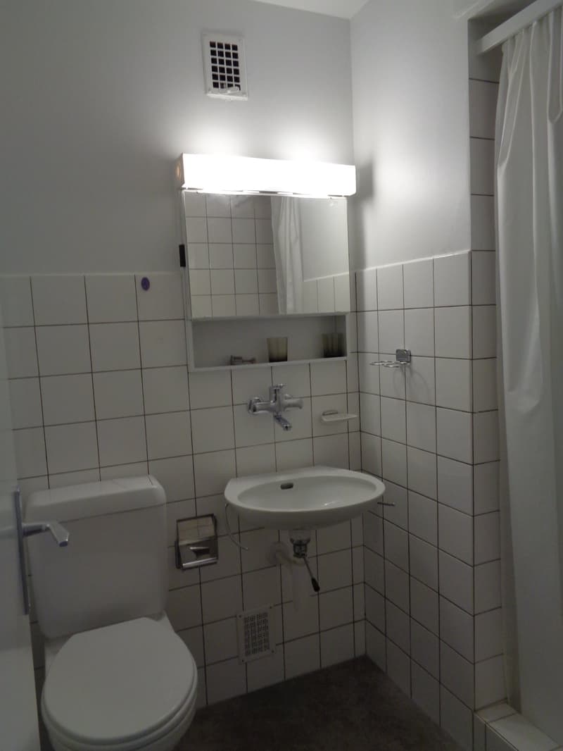 Grand appartement de 3.5 pièces proche du centre-ville. (8)