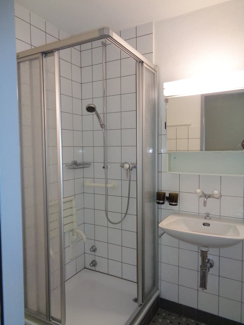 white tiled walls, glass shower enclosure, silver shower head, white vanity sink, wall-mounted soap dish, mirror, white towel rack, floor-mounted shower, and toilet paper holder