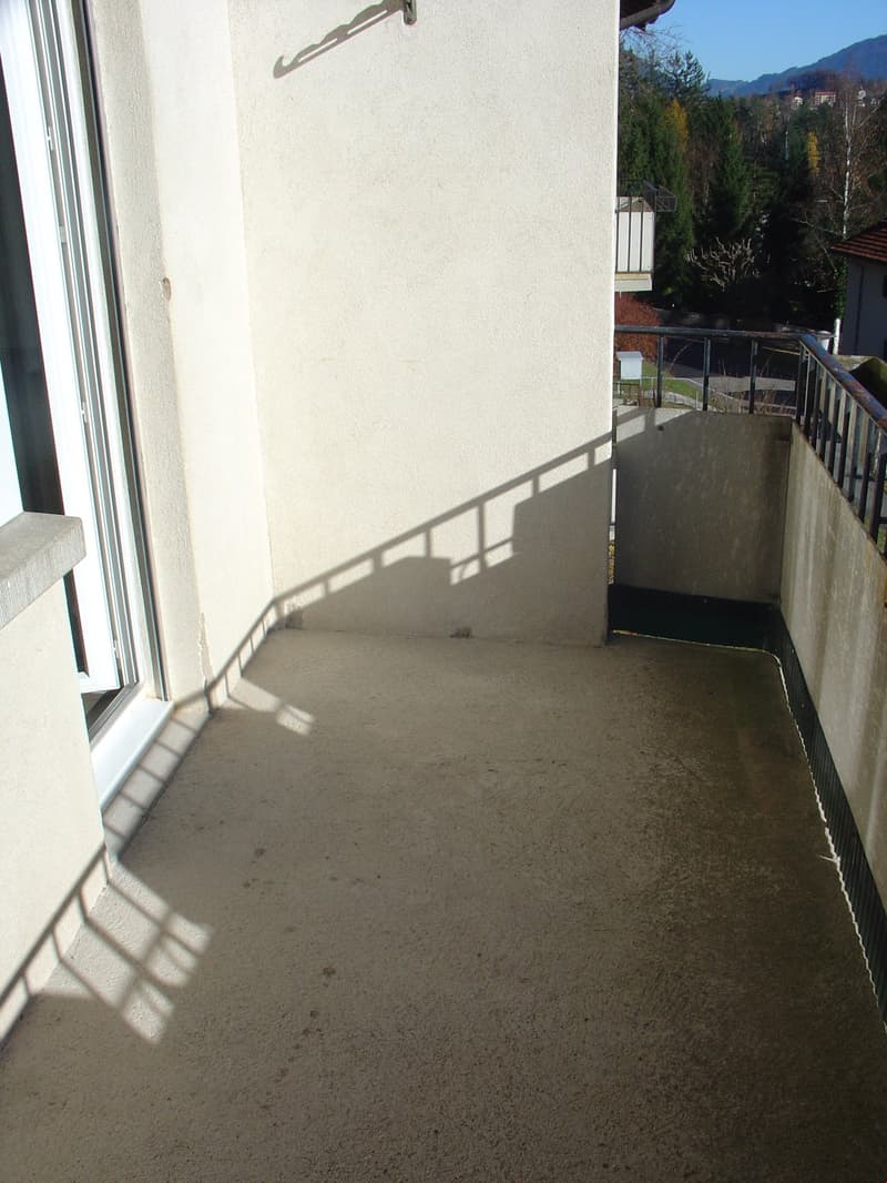 terraced balcony, glass door, railings, concrete floor
