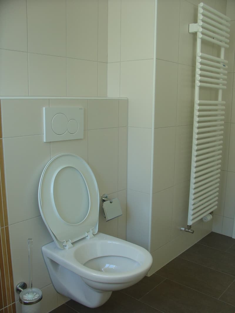 Toilet room with white ceramic fixtures and tiled walls