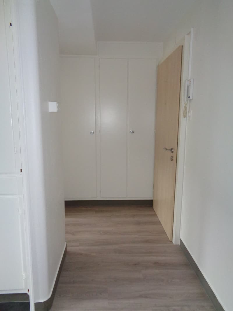 Empty room with wooden floor, white walls, white doors, and closets