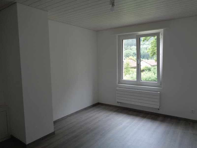empty room, white walls, wooden floor, window with view, white radiator