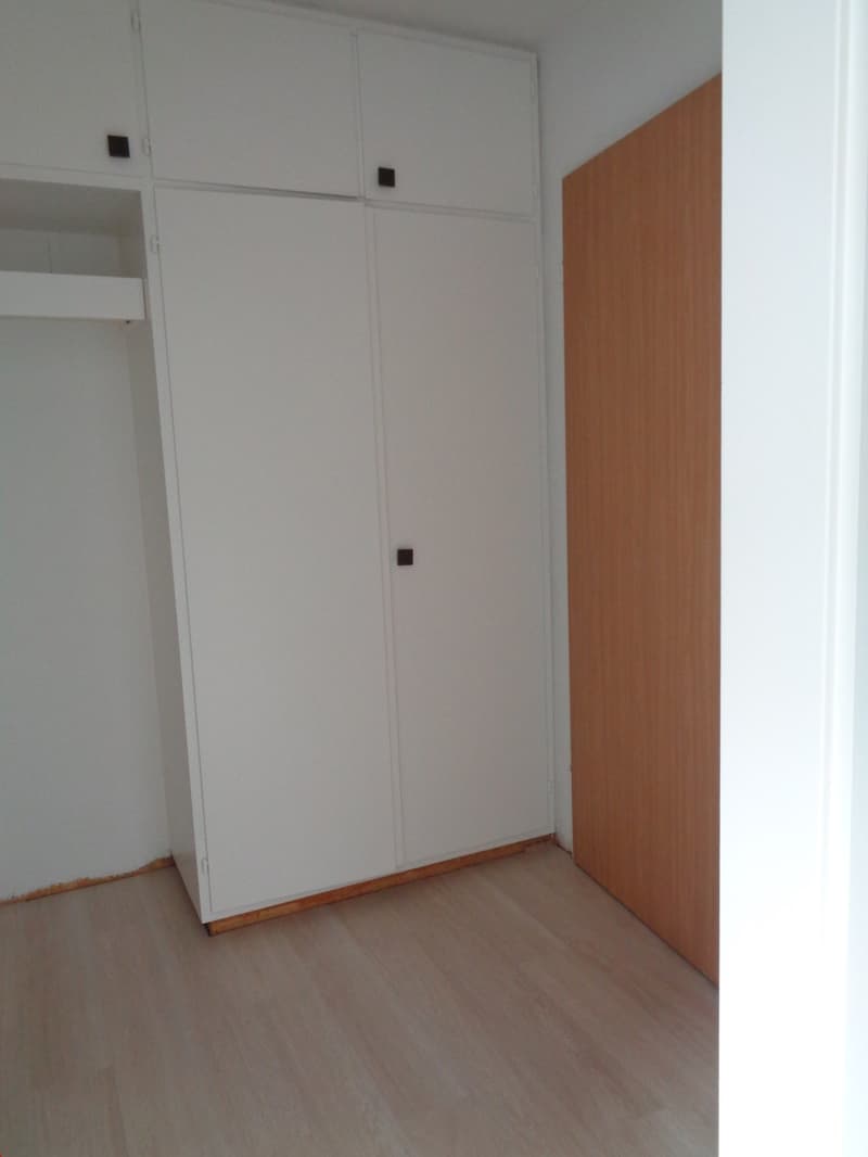 empty room with white built-in wardrobes and wooden floor