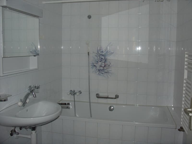 Appartement avec place dans parking souterrain (12)