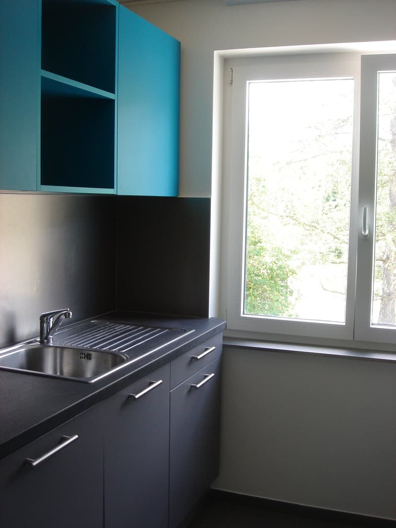 3.5 pièces situé dans une petite maison de 2 appartements. (3)