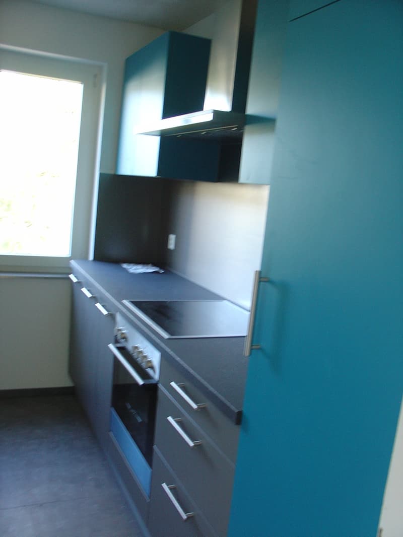 3.5 pièces situé dans une petite maison de 2 appartements. (1)