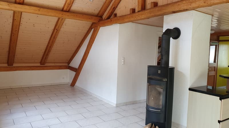Appartement de 3 pièces à moins de trois minutes du centre-ville. (8)