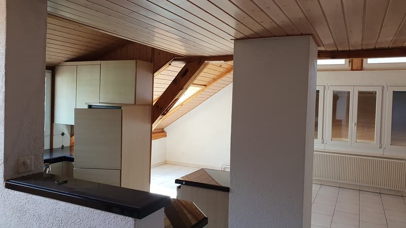 Appartement de 3 pièces à moins de trois minutes du centre-ville. (4)