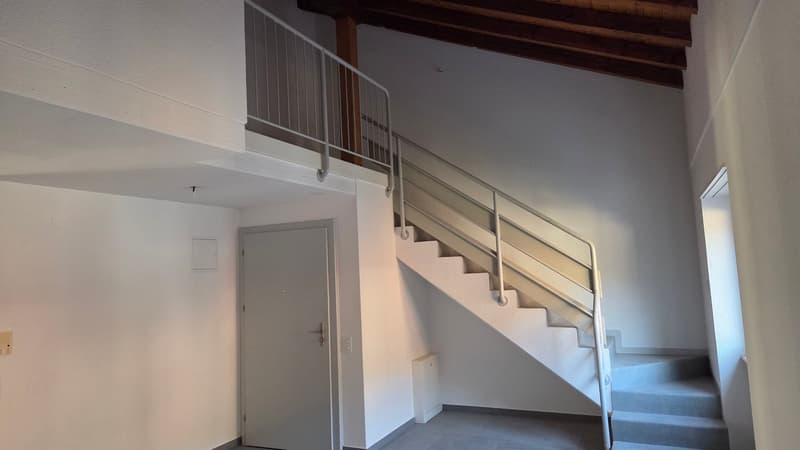 Logement en duplex situé entre le centre-ville et la gare CFF (4)