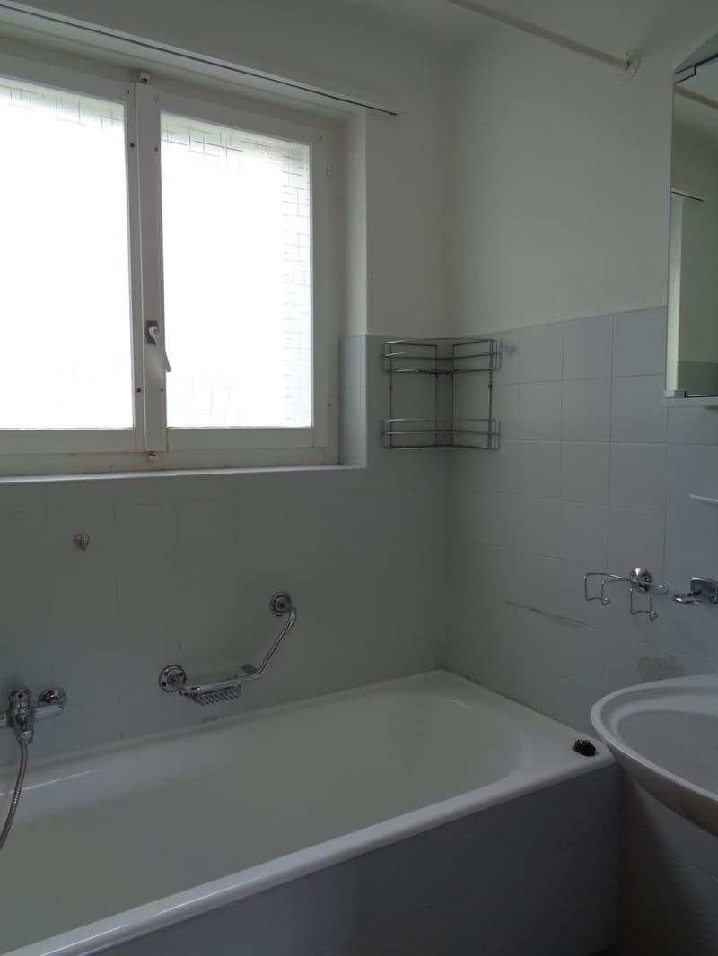 Appartement de 4.5 pièces sur les hauts du village avec balcon. (8)
