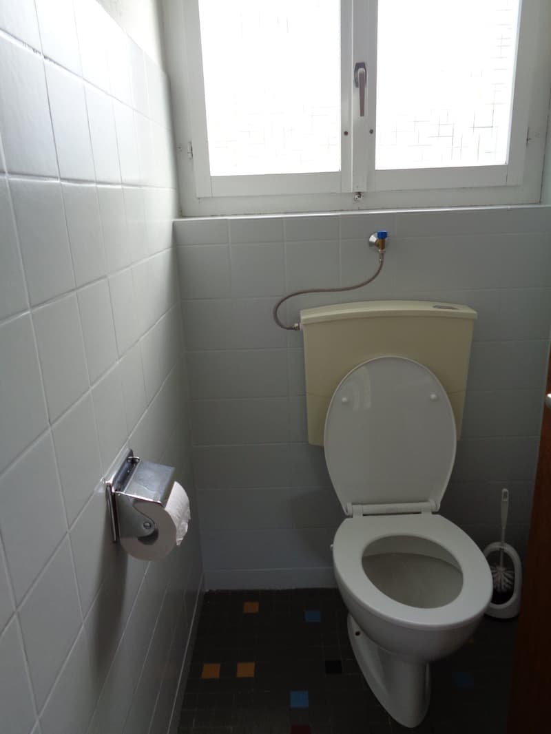 Appartement de 4.5 pièces sur les hauts du village avec balcon. (9)