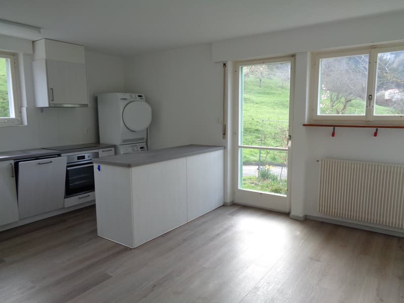 Appartement de 4.5 pièces sur les hauts du village avec balcon. (3)