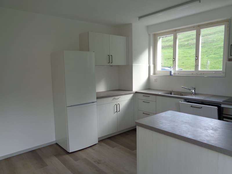 Appartement de 4.5 pièces sur les hauts du village avec balcon. (2)