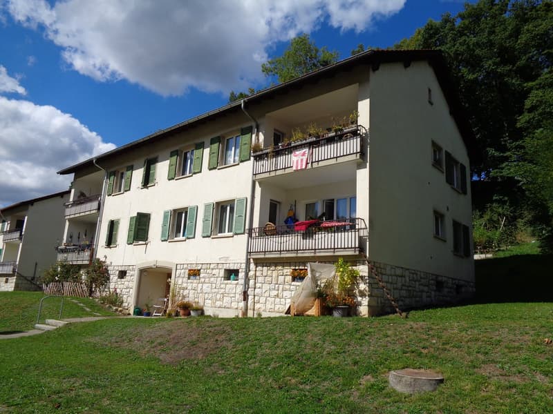 Appartement situé dans un petit immeuble de 4 logements. (16)