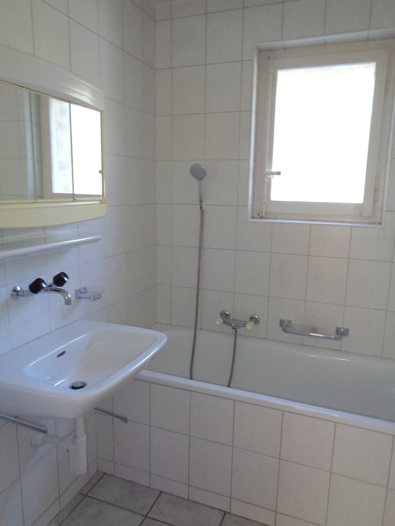 Appartement situé dans un petit immeuble de 5 logements (3)